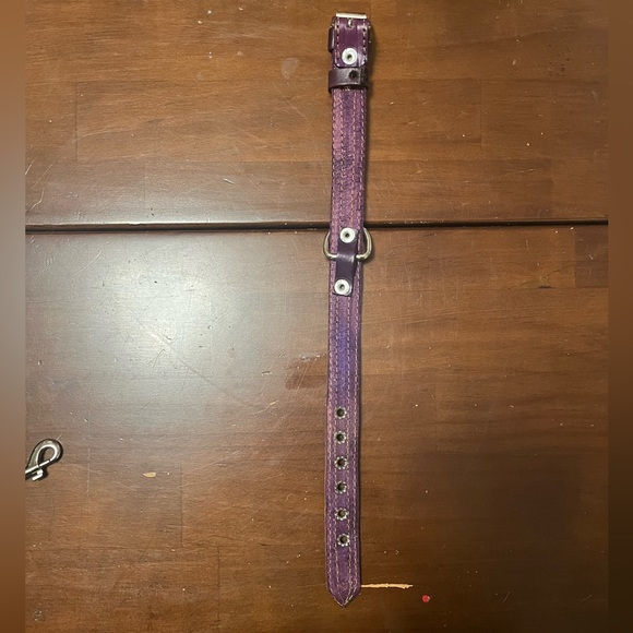 Mexican Leather Embroidered Dog Collar and Leash - Handmade, Brand New - Picture 2 of 5